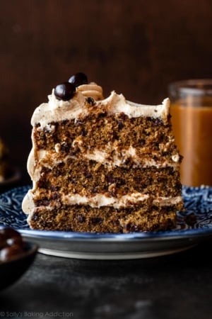 espresso chocolate chip layer cake on blue plate