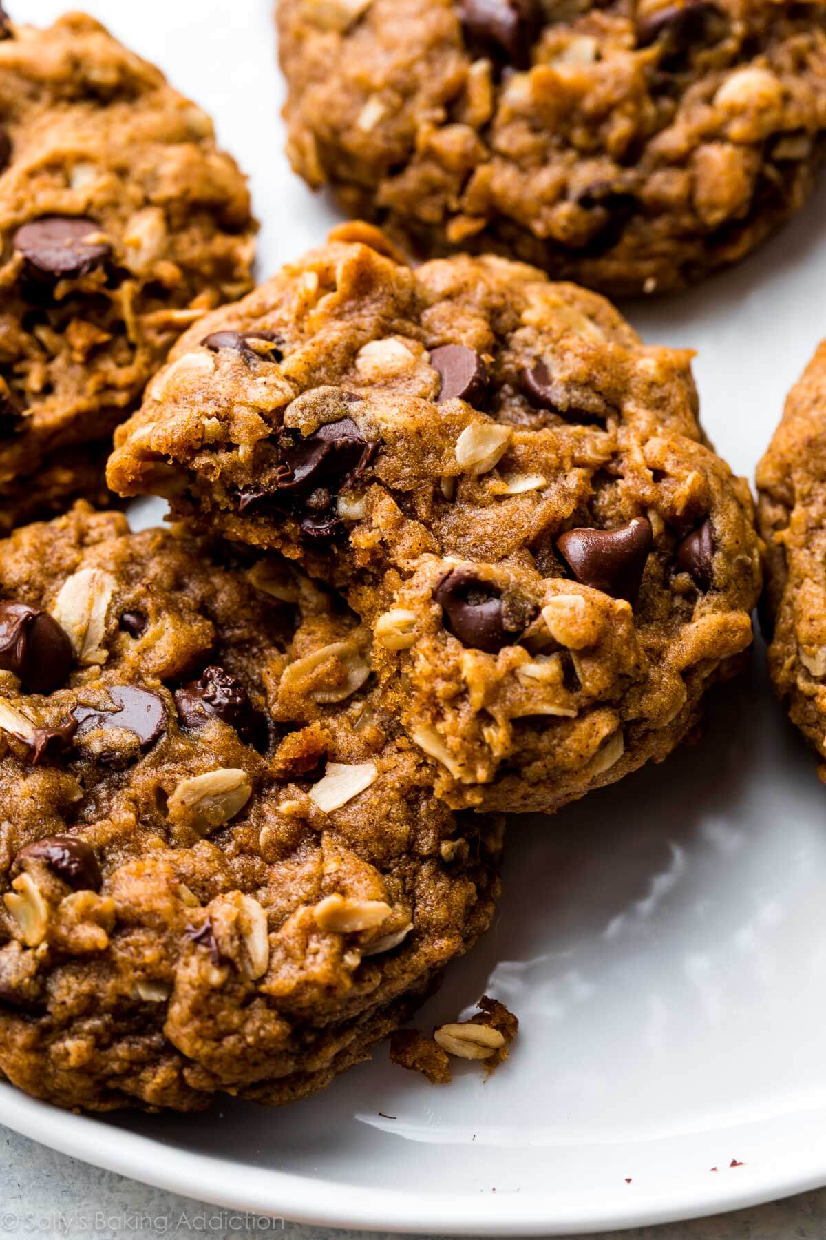 pumpkin oatmeal chocolate chip cookies on a white plate