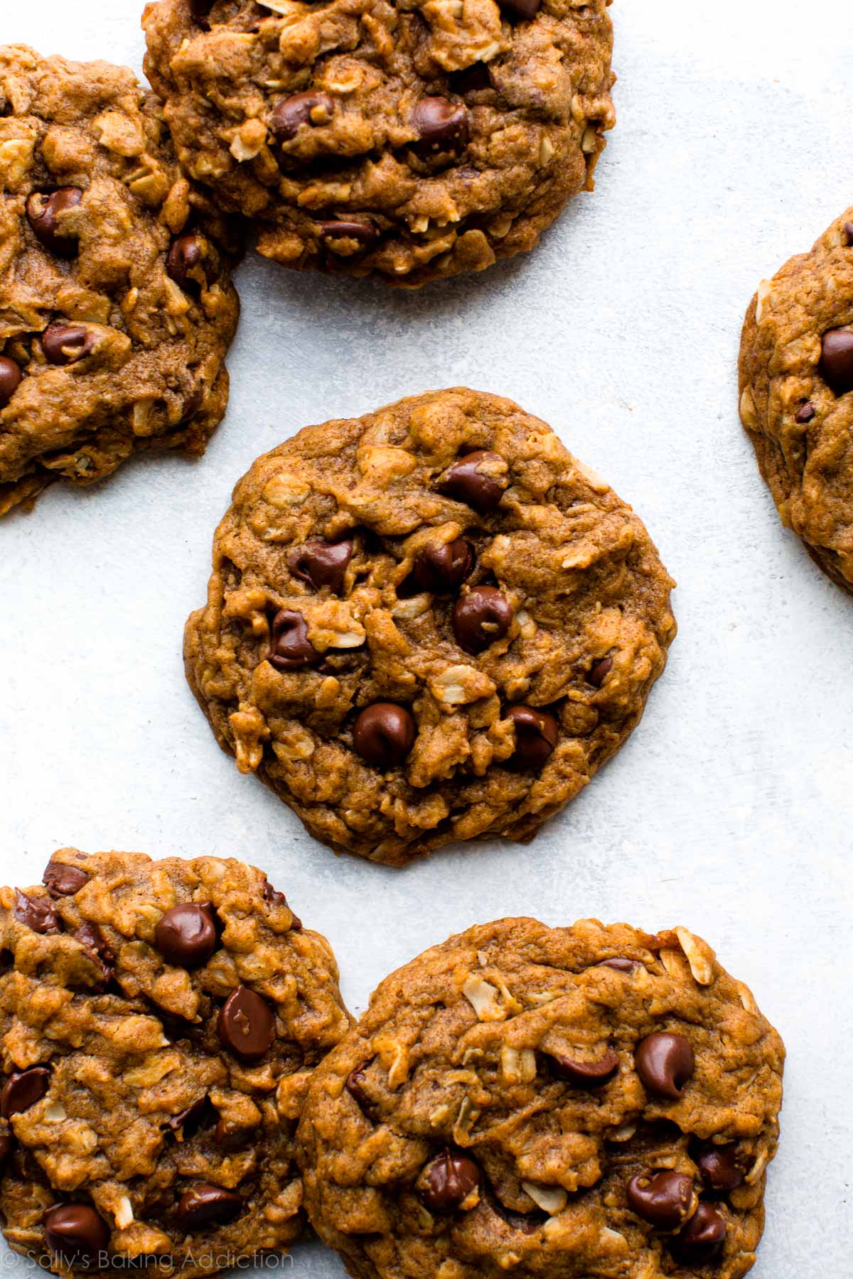 pumpkin oatmeal chocolate chip cookies