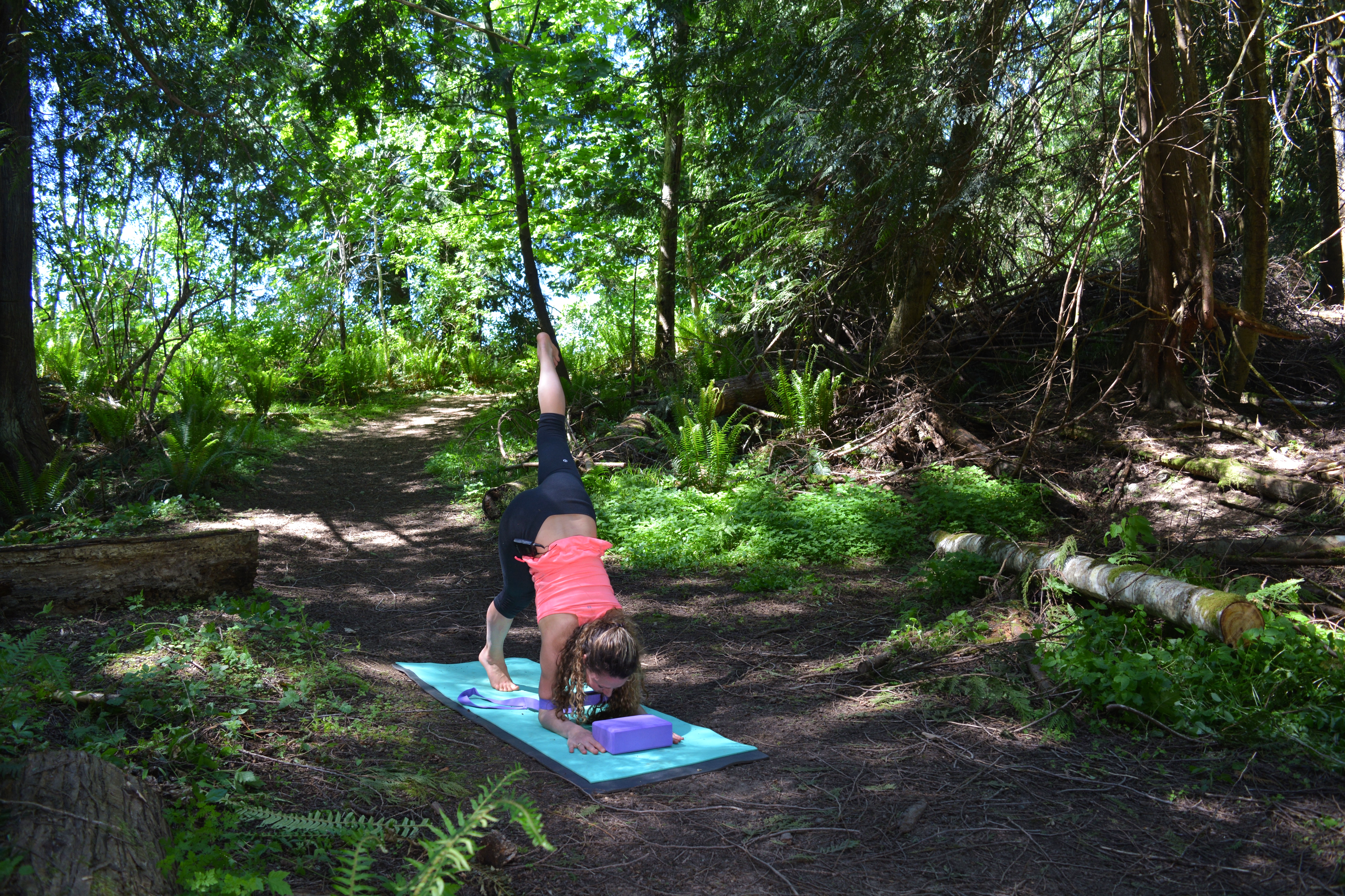 Peak Pose: Forearm Balance